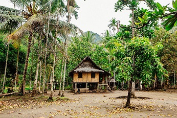 a hut surrounded by trees